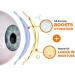 Blink Triple Care Lubricating Eye Drops 10ml + Anti-Fog Cloth Bundle by Maxim Eye | Dry Eye Relief for Moderate-Severe Symptoms - Buy Online on GoSupps.com