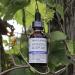 Four Elements 4E Hypnotic Sleep Tincture Blend Fresh Organic Herb Extract 1 OZ - Buy Online on GoSupps.com