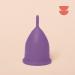 Shop Divine Menstrual Cup (Purple Soft Size S) - Eco-Friendly Comfortable & International Shipping Available - Buy Online on GoSupps.com