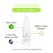Sugar Me Smooth Face & Eyebrow Sugar Wax Kit - Gentle Hair Removal System, No Strips, No Heat, Water Soluble, All-Natural - For All Skin & Hair Types - Buy Online on GoSupps.com