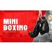 Pro Impact Mini Boxing Gloves - Christmas Ornament & Souvenir - 1 Pair Orange - Buy Online on GoSupps.com