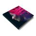 Buy Hand.Cannot.Erase - Limited Edition Vinyl | International Shipping Available - Buy Online on GoSupps.com