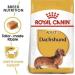Royal Canin Breed Dachshund Wet Dog Pouches 85g (Pack of 24) - Buy Online on GoSupps.com