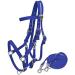 Nylon Combination Halter Bridle with Reins in Blue - Durable and Versatile - Buy Online on GoSupps.com