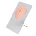 3D-silicone belly navel model abdominal piercing exercise model reusable soft elastic human navel model display (light skin color)