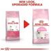 Royal Canin Kitten Dry Cat Food 2kg - Premium Nutrition for Growing Cats - Buy Online on GoSupps.com