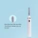 BOKIOESDE Fast Heating Electric Eyelash Curler No Preheating Required Equipped with Anti Scalding Silicone Cover to Prevent Burns Pink - Buy Online on GoSupps.com