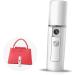 LALADEFIEE Skin Moistener Portable Humidifier Mini Humidifier Handy Sprayer Mini Face Humidifier Atomizer White - Buy Online on GoSupps.com