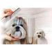 Pettom Pet Steel Grooming Tool - Poodle Finishing Butter Comb - Buy Online on GoSupps.com