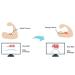 Buy 2.0 LED Shield - Visualize Muscle Activation with Myoware 2.0 Muscle Sensor - International Shipping Available - Buy Online on GoSupps.com