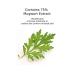 CHARMZONE Mugwort Serum The Original 1.69oz Calming & Hydrating Serum for Healthy Radiant Skin - Buy Online on GoSupps.com