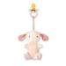 Itzy Ritzy - Bitzy Pal Pacifier & Lovey Set  Detachable Bunny Lovey & Coordinating Natural Rubber Pacifier  Ideal for Ages 0-6 Months  Bunny Bunny 1 Count (Pack of 1)