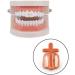 Punk Cross Mouth Teeth Tooth Single Grill Cap for Teeth Mouth Halloween Party Cosplay Accessories Teeth Grills Rose Gold - Buy Online on GoSupps.com