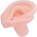 Silicone Simulated Ear Model for Hospital Display & Hearing Aid Learning - Buy Online on GoSupps.com