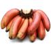 Fresh Red Banana | 1KG | 100% Fresh Fruit | Sri lankan Origin| Next Day Shipping By Seelans - Buy Online on GoSupps.com