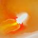 Zimpli Kids Large Rocket Bath Bomb with Flame Special Effect - Birthday Gift for Boys & Girls | Fizzing Bath Toy for Moisturizing Dry Skin | Montessori Toy for Age 3 - Buy Online on GoSupps.com