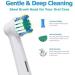 4 Replacement Toothbrush Heads for Braun Oral-B Electric Toothbrushes - Compatible Dentia Pack - Buy Online on GoSupps.com