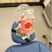 Buy Head Model Simulator - Realistic 3D Anatomical Models for Sale | Worldwide Shipping - Buy Online on GoSupps.com