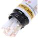 uaelua 100Pcs/Bottle Ketone Strips Home Ketosis Urine Weight Lose Analysis Strips - Buy Online on GoSupps.com