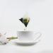 cn herb Dandelion Chrysanthemum Tea 250g/ Bag Triangle Bag - Buy Online on GoSupps.com