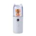 Cute Nano Mist Facial Sprayer Beauty Instrument USB Humidifier Rechargeable Beauty Nebulizer Steamer Tool Face Moisturizing Tiger White Free Size