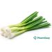 Fresh Thai Spring Onion 1KG | Spring onion | 100% Fresh | Control Hair Fall| Boosts Immune System | Healthy| Indian Origin | Next Day Shipping By Seelans - Buy Online on GoSupps.com