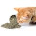 Meowijuana Organic Dried Premium Ground Catnip Bundle - High Potency - Grown in the USA for Cat Toys - Feline & Cat Lover Approved - Buy Online on GoSupps.com
