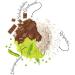 Vegan Protein Powder Soy-Free Gluten-Free Lactose-Free Chocolate Brownie 600g Nutri + Peas - Buy Online on GoSupps.com