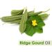 Ridge Gourd Oil (LUFA ACUTANGULA) 100% Natural Pure Carrier Oil 30ml Ridge Gourd 30 ml (Pack of 1) - Buy Online on GoSupps.com