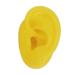 2PCS Silicone Ear Model: Soft & Waterproof Yellow Displays for Hospitals - Buy Online on GoSupps.com