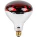 SM Pet Supplies Infrared Radiant Heat Lamp & Red Bulb High Low Switch Poultry Chickens Chicks Puppy Dog & live stock - Buy Online on GoSupps.com