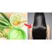 Buy 3 Fresh Bio Aloe Vera Leaves 80cm | 800g | EU Certified XXL Barbadensis Miller for Skin Hair Nail Body Care | Anti-Aging | Ships Worldwide - Buy Online on GoSupps.com