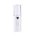 Nano Mist Sprayer - Makina USB Charging Handheld Facial Beauty Skin Care Products Big Water Tank Ultrasonic Moisturizing Mini Nano Mister (Plastic Transparent)