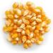 Yupik Popcorn Kernels Unsalted 1 kg Gluten-Free Vegan Kosher GMO-Free Popping Corn Whole Golden Kernels Salt-Free Oil-Free Source of Fiber Healthy Snack - Buy Online on GoSupps.com