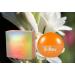 Vibes Wild Eau de Parfum pour Femme Floral and Fruty Gourmand Fragrance for Her 3.4 Fl. Oz. - Buy Online on GoSupps.com