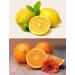 Small Moments Sauna Infusion Concentrate - Orange Citrus 500ml | Drip Closure & Child Lock | International Shipping - Buy Online on GoSupps.com
