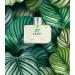 Coast Green Cologne for Men 3.4oz/100ml (Our Impression of Coste Blanc Green) Eau de Toilette Natural Spray - Buy Online on GoSupps.com