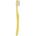 Tooth Model - Best 120 Opening Dental Visualization for Practice | International Shipping - Buy Online on GoSupps.com