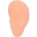 Silicone Acupuncture Ear Model - Professional Simulated Teaching Tool (Right Ear) - Buy Online on GoSupps.com