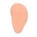 Simulated Silicone Acupuncture Ear Model for Explanation - Professional Soft and Elaborate (Right) - Buy Online on GoSupps.com