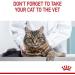 ROYAL CANIN Oral Care Dry Cat Food 400g (Pack of 2) - Buy Online on GoSupps.com
