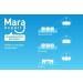 Interdental Brushes by Mara Expert | ISO 2 Fine 0.5 mm | 6x32mm Red Standard Dental Brushes for Optimal Oral Care - Buy Online on GoSupps.com