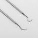 RHXWFDG 3 Pcs Pet Tooth Scaler Cleaning Kit Dog Dental Tooth Scaler Stainless Double Headed Tarter Remover Pet Dental Tools Pet Teeth Cleaning Tools for for Dogs Cats - Buy Online on GoSupps.com