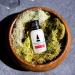 RawChemistry Pheromones for Men - Bold Extra Strength Cologne Oil to Attract Women - Buy Online on GoSupps.com