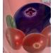 Berry ICE Smoothie POPS- 10 Pops/Bag in Great Raspberry Cranberry & Blueberry Flavours - Buy Online on GoSupps.com