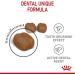 Royal Canin Dental Care Adult Dry Cat Food 1.5kg - Buy Online on GoSupps.com