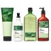 Bath and Body Works Aromatherapy NEW ZEN GARDEN Gift Set - Body Lotion 6.5 oz  Body Wash Foam Bath 10 oz  Essential Oil Mist 5.3 oz & Body cream 8 oz - Bath & Body Set