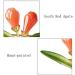 Pin Jewelry Gifts for Women Ladies Elegant Accessories South Red Agate Magnolia Shape Brooch Luxury Wedding Banquet Brooch Accessories Brooches & Pins - Buy Online on GoSupps.com