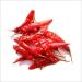 Dried Andhra Chillies/Sigappu Milagai/Organic Dry Red Chillies 1000g