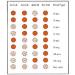 Eldoncard Blood Type Test Kit with 5 Tests & Extra Lancets | ABO AB & Rh Blood Group Testing - Buy Online on GoSupps.com